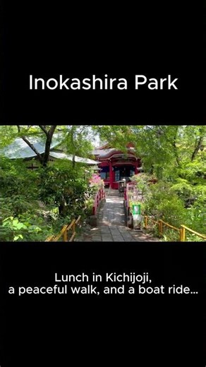 【吉祥寺】Inokashira Park Walk | Kichijoji Tokyo 🌿
