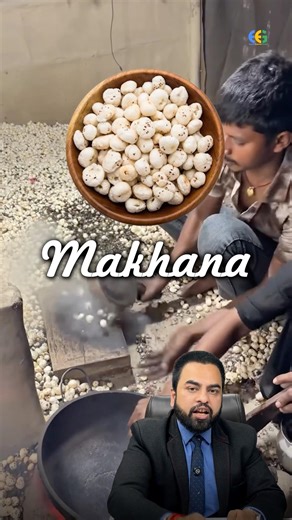 How much profit in Makhana Export | Import Export Business By Harsh Dhawan