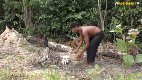 Watch scared lonely dog discover a warm home with a small waterfall pool