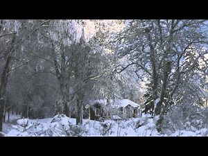 Sankta Lucia - der schwedische Lichterbrauch