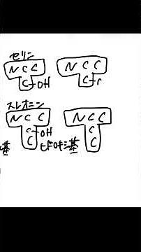 アミノ酸 20種2分