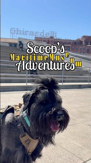 Exploring San Francisco's Historic Aquatic Park & Maritime Museum 🌊🐾🌉
