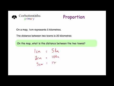 Proportion - Primary