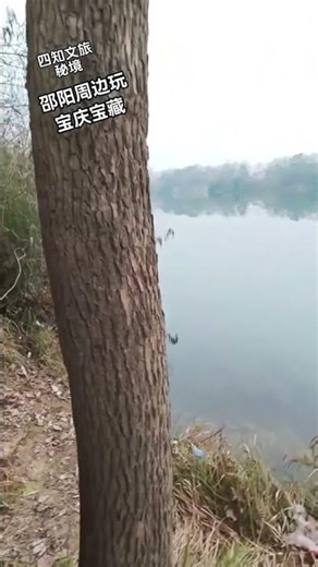 发现一个钓鱼露营的好地方宝庆宝藏邵阳周边玩 #邵阳周边游 #休闲野钓