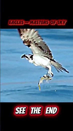 Golden Eagle Lifts a Deer | Incredible Power of Eagles!"#GoldenEagle #EagleHunting #Eagles