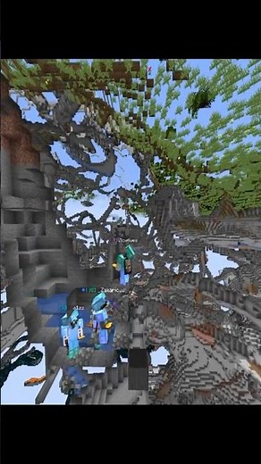 Flowtives is now Max Verstappen #minecraft