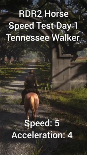 Full video here ^ Testing the speed stat in Red Dead Redemption 2