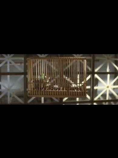 映画『絶唱』（1975）山口百恵｜昭和の名作レビュー