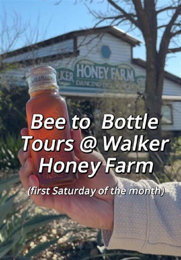 Explore Walker Honey Farm: The Bee-to-Bottle Experience