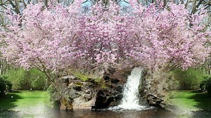 Download Fantasy Springtime Garden  for free