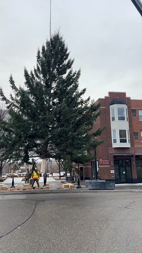 Downtown Shakopee on Reels