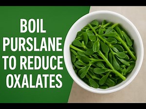 How To Pre-prepare & Store Purslane