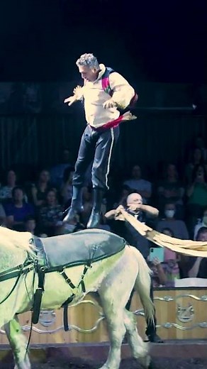 An amazing experience! CIRQUE MA'CEO 2024 TOUR