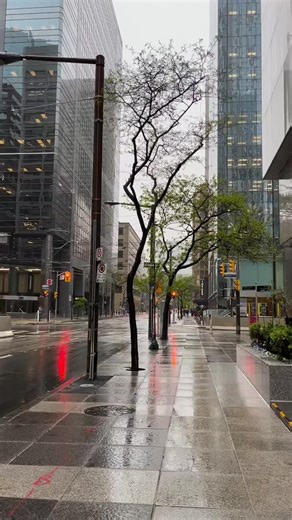 Explore Toronto: A Cinematic Travel Experience