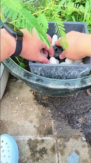 Solar Water Pump Guide: Easy DIY Rooftop Garden Fountain