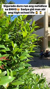 647K views · 5.7K reactions | Nakakamiss ang high school life #schoollife #foryoupageviralシ゚ #foryoupageシ #school | Leigh Estaris | Facebook