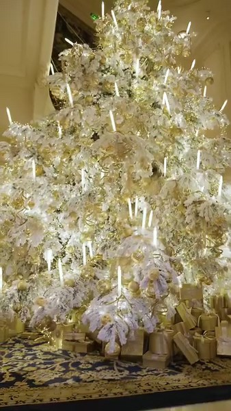 41K views · 4.8K reactions | Step into a festive wonderland at the Ritz Paris, where elegance meets enchantment. Behold the magical Christmas tree, dazzling in golden splendor. Are you ready to embrace the festive spirit and create unforgettable moments? ✨ | Ritz Paris | Facebook