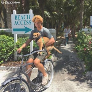 439K views · 9.4K reactions | Hanging out with PUPPIES on an ISLAND for a GOOD CAUSE. It doesn't get any better! | Glamour | Facebook