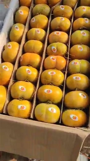 FRESH VIP SUPER QUALITY SEVAN FRUIT 😋 #Fresh #vip #super #quality #sevan #fruit | Fresh Fruit Cutting