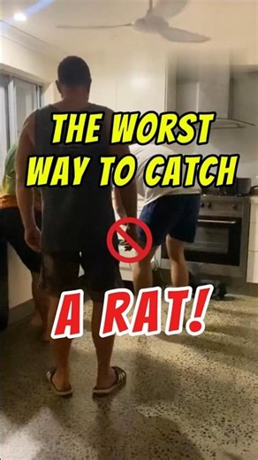 🐀How to get rid of rats in your house? 🛑Avoid THIS!