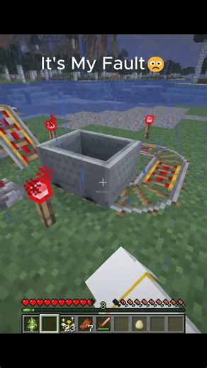 It's My Fault🙁 Minecraft Java Edition