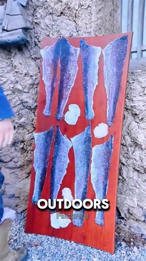 Fish Skin Into Clothing 😲