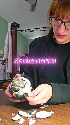 Helping a Baby Emu Hatch 🥚🐣