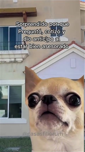 Impactado quedé😮 #humor #viral #invierteenbienesraices #comedia