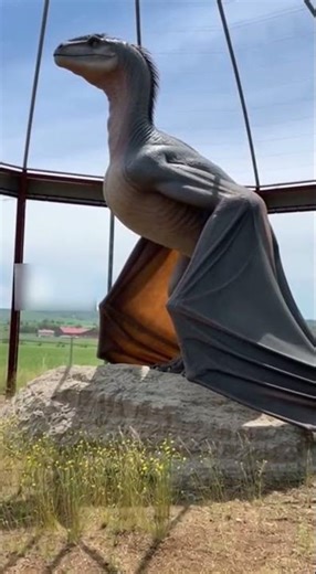 Anatomy driven by function, not appearance. #experiment #creatures #wildlife