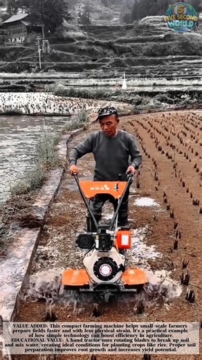 Small Hand Tractor Turns Rice Fields Into Ready-to-Plant Soil! #shorts
