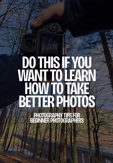 Beginner Photography Tips for Stunning Composition