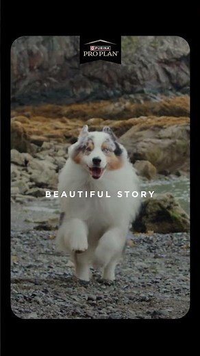 Emotional Moments on Set of Fuel For Life #ProPlan #PetFood #Shorts​