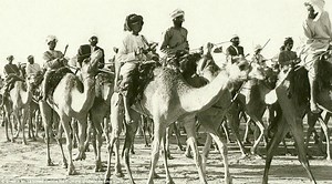 The Origins of Arab Settlers in the Land of Israel