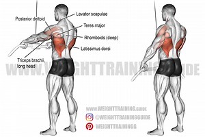Cable straight-arm pull-down exercise instructions and video | Weight Training Guide