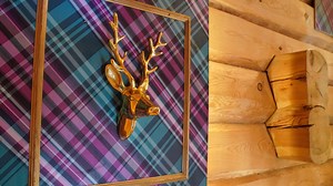 The Cabins - Series 2 - Episode 12 - ITVX