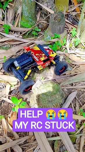 HELP MY RC STUCK IN BAMBOO FOREST #automobile #offroad