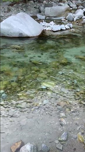 河内川の上流（視点移動あり）