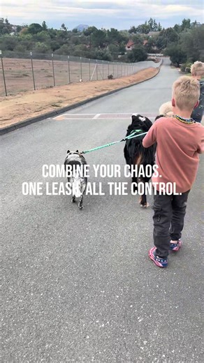 If you’ve ever tried walking two dogs at once… you know the chaos 😅 This dual leash keeps them moving together without the tangles, the arm workout, or the stress. One leash. All the control. 🐾 #dogmomlife #dualdogleash #petfinds #dogwalkingessentials #dogmusthaves