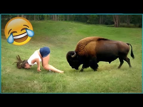 Try Not To Laugh 🤣 Top 100 Funniest Videos Ever 🎬🔥 Memes, Epic Fails & Pranks Compilation Part 8