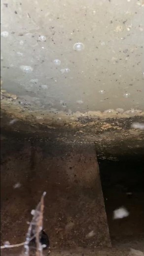 A Closer Look at the Back Baffle in Septic Tanks