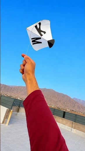 Beautiful Kite Flying 😍 #kite #kiteflying #kiteground #viralvideo #shorts