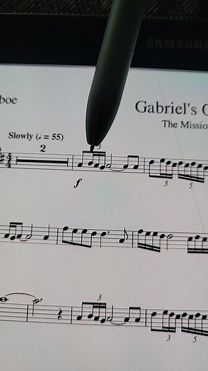 Ennio Morricone's Gabriel's Oboe - Instrumental Ensemble Performance