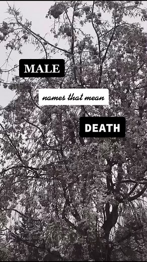 Dark and Evil Boy Names: Meanings and Aesthetic | BookTok