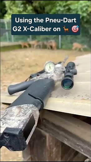 Using the Pneu-Dart G2 X-Caliber to treat deer.