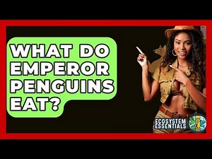 What Do Emperor Penguins Eat? - Ecosystem Essentials