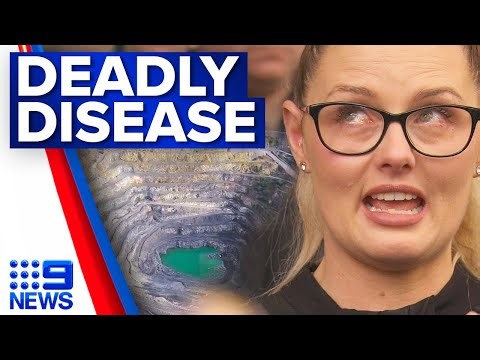Boral fined less than $200,000 for exposing workers to the deadly disease | 9 News Australia