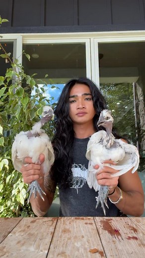 They really got that gimbal technology 😭🐓📷…. Not sure why this did numbers in my stories but I’m assuming stoners just kept watching it and tripping out 😬🤪🤪 cuz that would be me | Bretman Rock