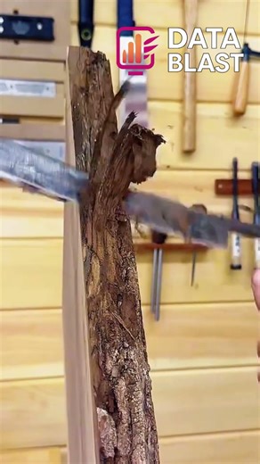 Raw Wood to Smooth Plank! Satisfying Scraping ASMR #shorts