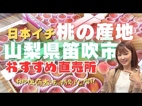 【グルメ】山梨県の桃は最高！桃ってこうやって出荷されるんだよ！