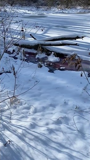 The dye don’t lie, this will be expensive